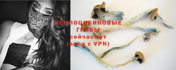 винт Лабытнанги