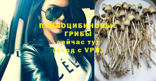 прущий лед Куйбышев