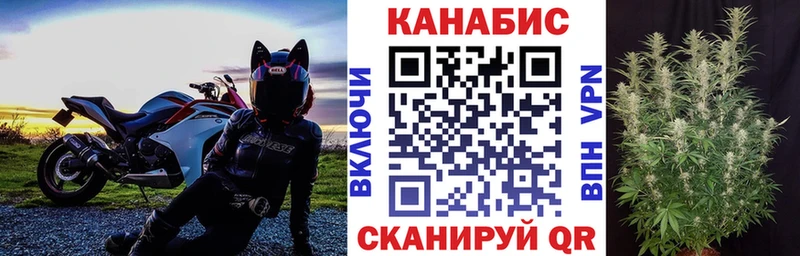 Бошки марихуана MAZAR  Луга 